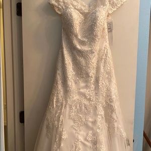 NWT GORGEOUS Wedding dress & Veil & Slip